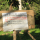 Illustration for article titled How Drug Trafficking Worsens the Problem of Deforestation